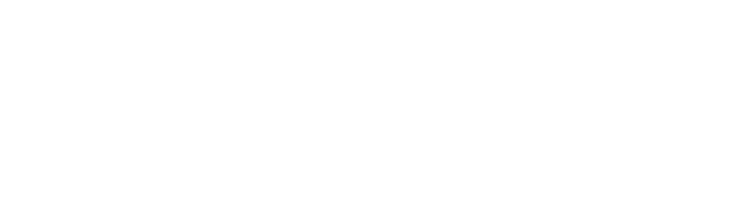 Azmeer Hossain signature